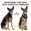 Probiotics For Dogs Support Gut Health Itchy Skin Allergies Yeast Balance Immunity Dog Probiotics And Digestive Enzymes For Small Medium And Larg