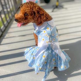 Blue Daisy Dog Dress with Matching Leash (Option: X-Small)