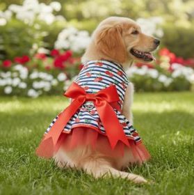 Cherry Stripe Harness Dress with Matching Leash (Option: X-Small)