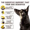 Probiotics For Dogs Support Gut Health Itchy Skin Allergies Yeast Balance Immunity Dog Probiotics And Digestive Enzymes For Small Medium And Larg