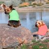 Cotton Dog Tank - Green Flash