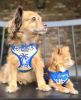 Wrap and Snap Choke Free Dog Harness by Doggie Design - Catching Waves