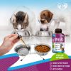 Cat And Dog Multivitamin Liquid With Glucosamine & Cranberry 15 In 1 Health Supplements For Urinary Tract Kidney Bladder Hip And Joint Skin And C