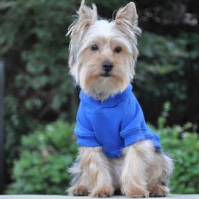 Flex-Fit Dog Hoodie - Blue (Option: Small)