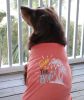 Gone To The Beach Tank Top - Coral