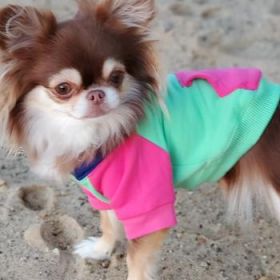 Color-Block Hoodie - Pink on Mint (Option: Large)