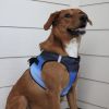 American River Choke Free Dog Harness Ombre Collection - Midnight Sky