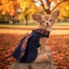 Navy Dog Dress with Plaid Ruffles