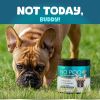 No Poo Chews For Dogs Stop Poop Eating Behavior Probiotics And Digestive Enzymes For Dogs Bad Breath Support For All Breeds Digestive And Gut Hea