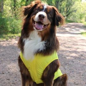 Packable Raincoat - Yellow (Option: 2X-Large)