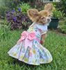 Pastel Meadow Dog Dress with Matching Leash