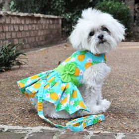 Pineapple Luau Dog Harness Dress with Matching Leash (Option: Medium)