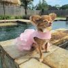 Pink Lace & Ruffles Dog Dress with Matching Leash