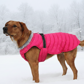 Alpine Extreme Weather Puffer Coat - Pink Peacock (Option: X-Large)