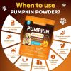 Do Not Sell On Amazon Pumpkin Powder For Dogs Digestive Support 8 OZ Fiber Supplement For Constipation For Gut Balance Healthy Skin Digestion Gla