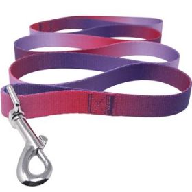 American River Ombre Leash - Raspberry Sundae (Option: 1 inch wide x 6 feet long)