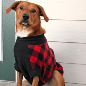 Highline Fleece Dog Coat - Red and Black Plaid (Option: Size 12LC)