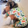 Soft Dog Pajamas - Dinos