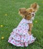 Spring Wildflower Dog Dress with Matching Leash