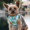 Cool Mesh Dog Harness with Leash - Surfboards and Palms