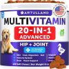 Dog Multivitamin Chewable With Glucosamine 20 In 1 Dog Vitamins And Supplements Senior & Puppy Multivitamin For Dogs Pet Joint Support Health Imm